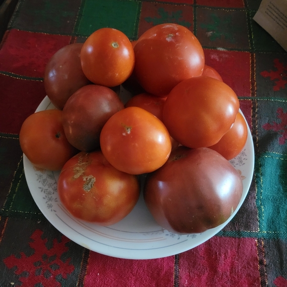 Giant Hello From Georgia! :) - Picture 3 of 10